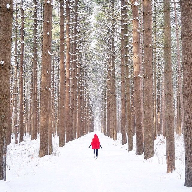 Oak Openings Metro Park